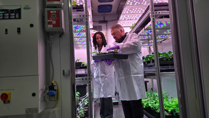 Two people in lab container. 