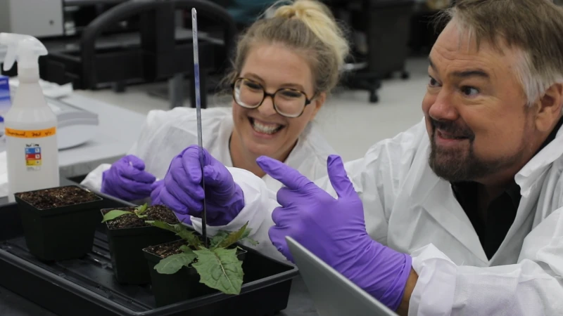man and woman measuring plant height. 