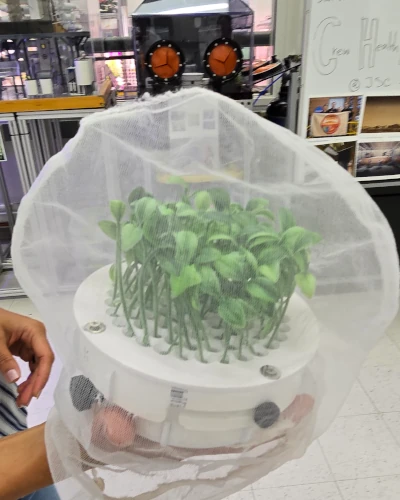 Plant harvester with netting to capture cuttings. 