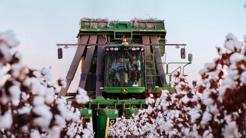 Tractor farming cotton.