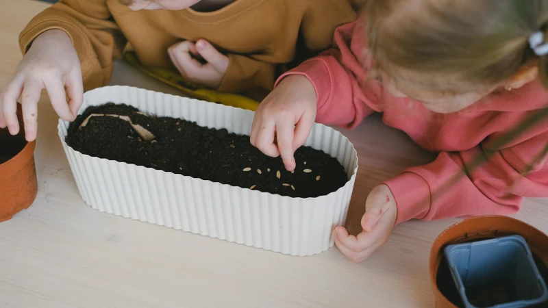 Preschool girl putting seeds in a pot.