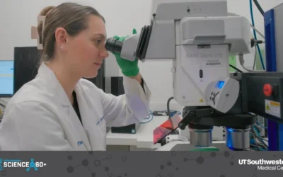 New Study Suggests Metabolic Reset After Fasting Could Support Longevity