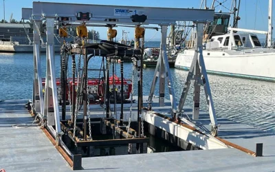 Washington Researchers Test Mechanical Solution To Stop Burrowing Shrimp Damaging Oyster Beds