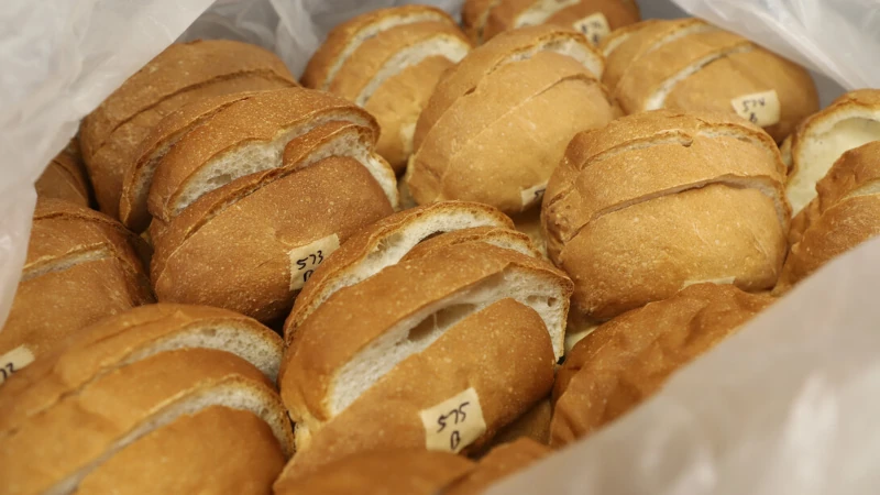 loaves of wheat bread.