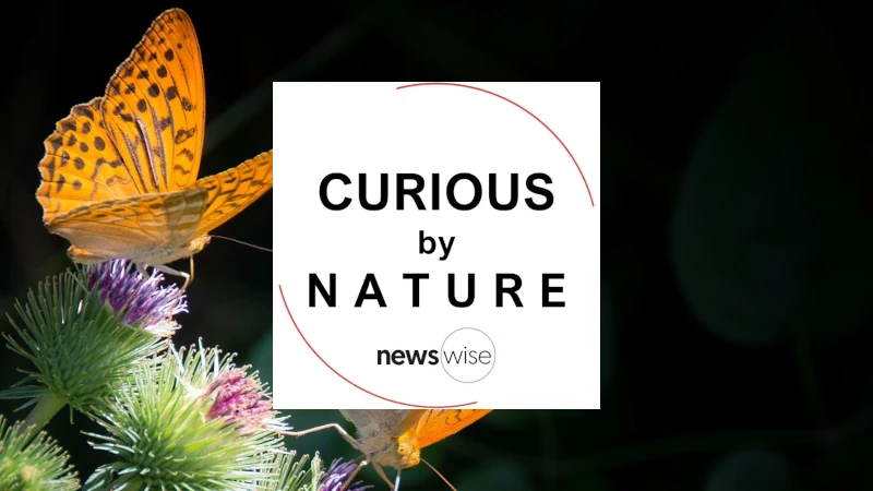 Curious by Nature logo