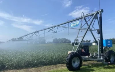 Climate Change And Farming: How Risk Shapes Agricultural Decisions