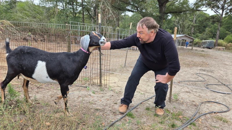 Man petting a goat.