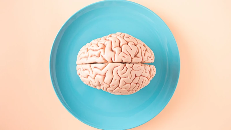 Brain on a plate.