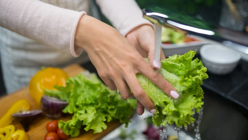 Washing lettuce under faucet