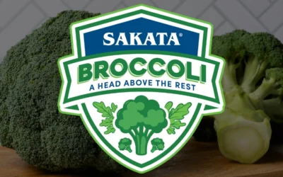 Sakata Seed Unveils New Logo, New Varieties, And Eastern Broccoli Bulletin, Reinforcing Leadership In Broccoli Market
