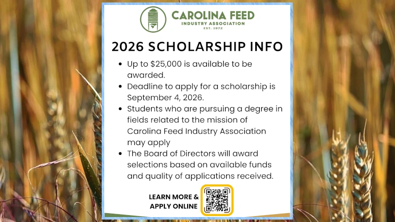 Scholarship Infographic