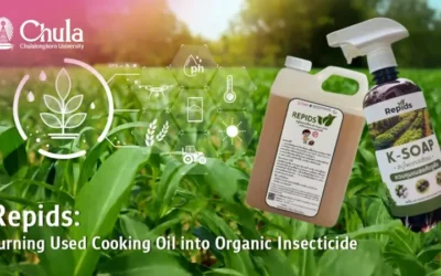 How Used Cooking Oil Is Being Turned Into Insecticide for Organic Farming