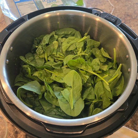 Spinach on top of pot of soup.